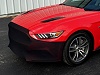 2015-2022 Ford Mustang Novigo Stretch Front Bumper Bra Mask